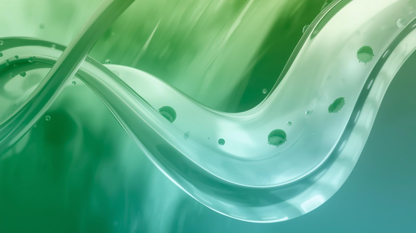 Cellefornyelse med Spermidine og TMG